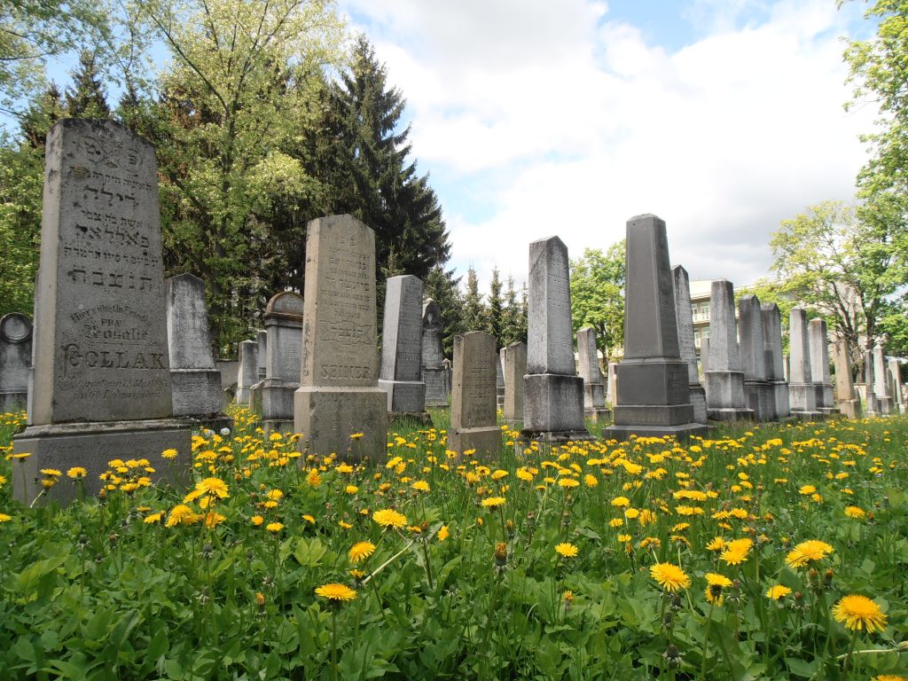 Židovský hřbitov 
